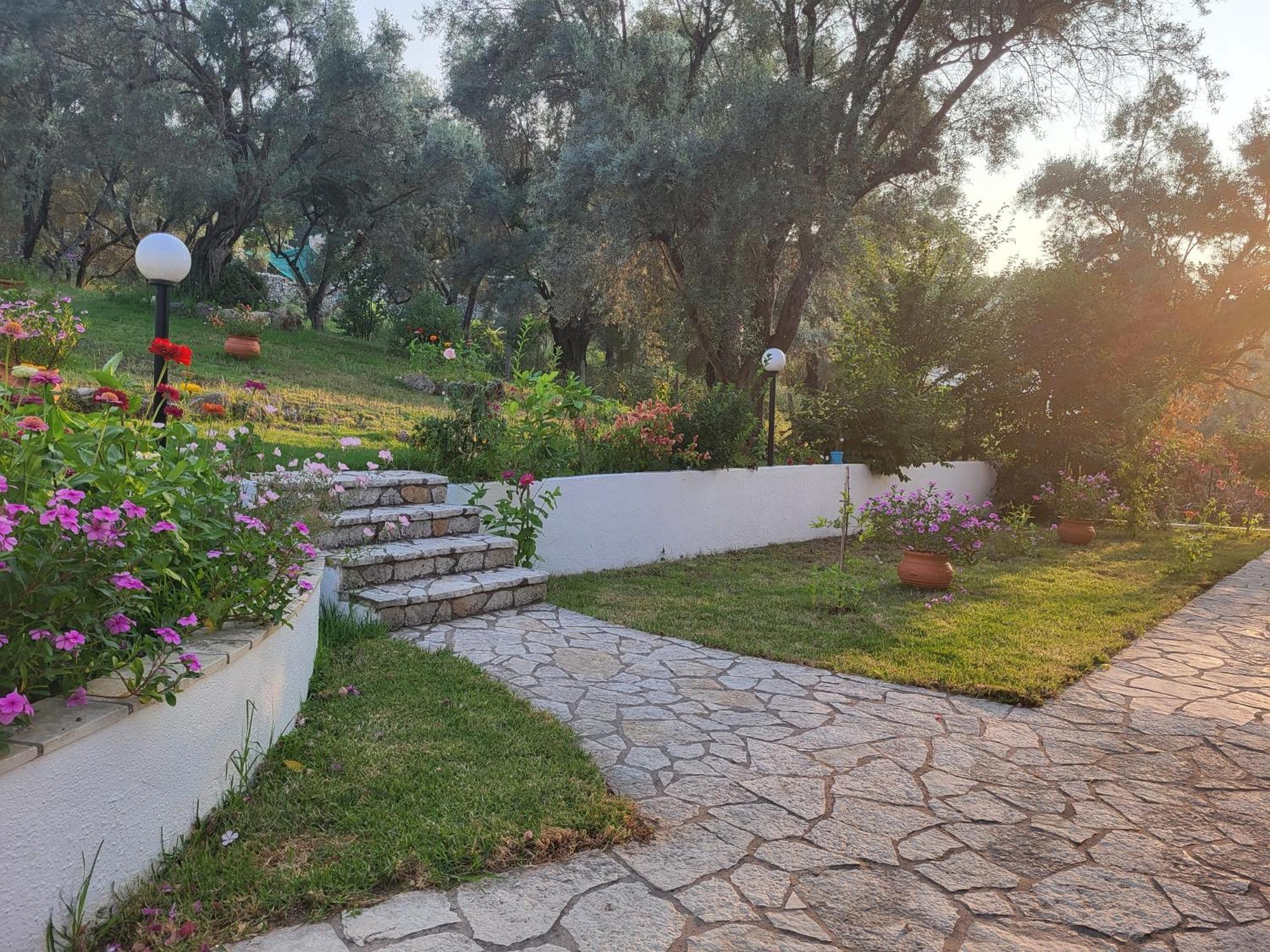 Dimitra Studios Lefkáda Extérieur photo